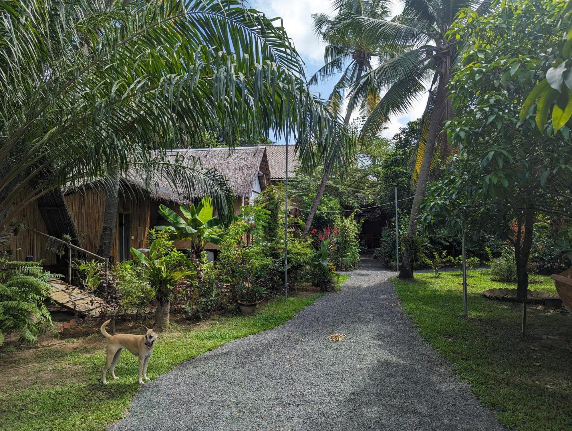 Nary Garden Hotel Kampot Buitenkant foto